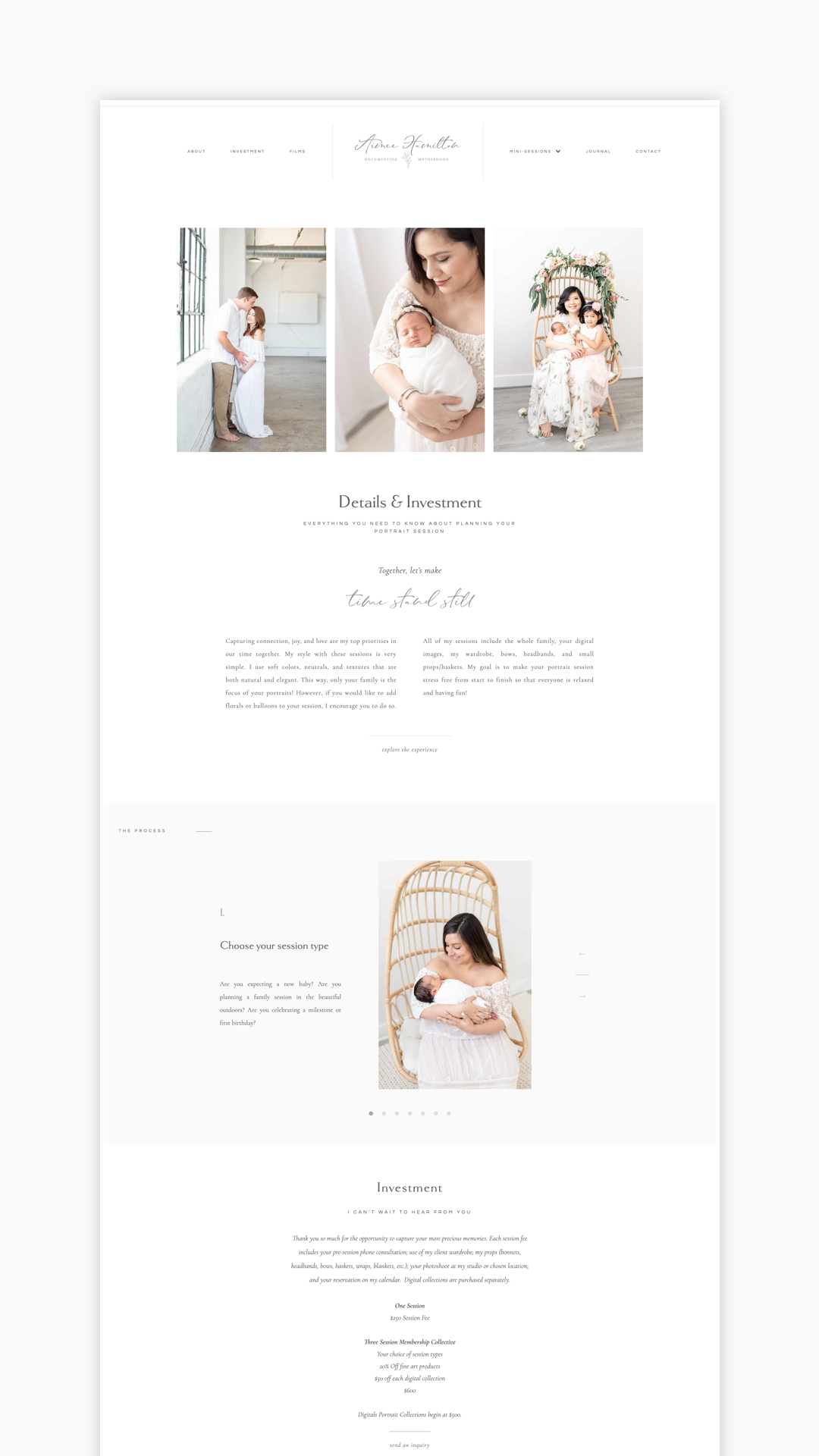 Aimee Hamilton Photography Investment Page