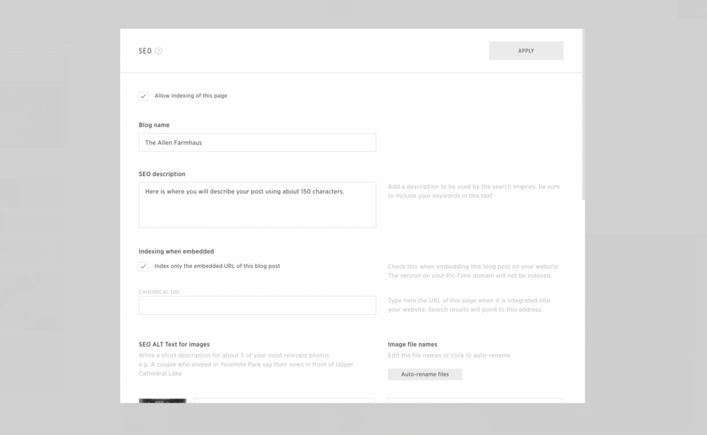 Pic-Time's interface for SEO settings