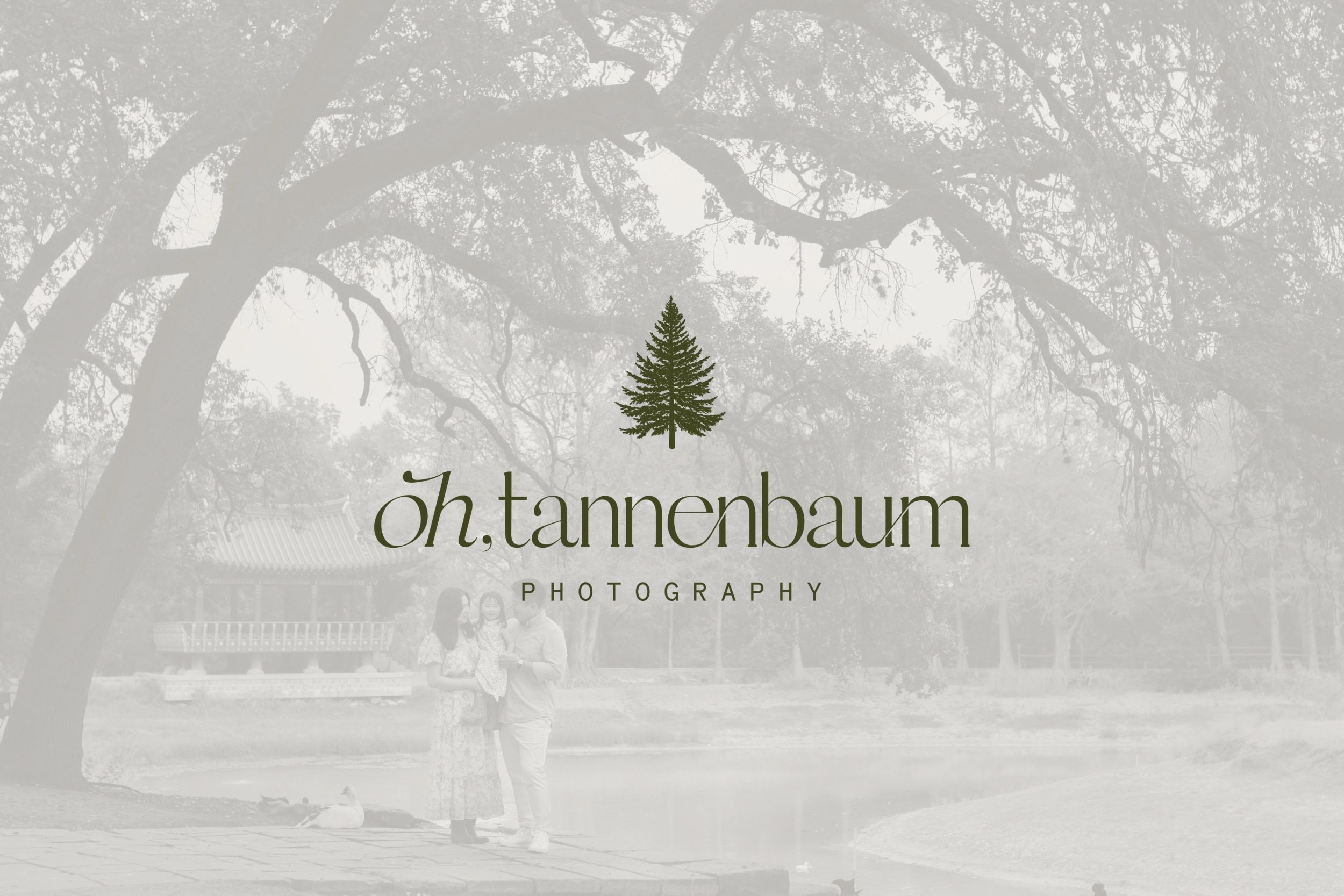 Brand Design for San Antonio photographer